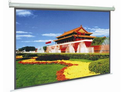 Màn chiếu treo tường Wall dalite 96 x 72